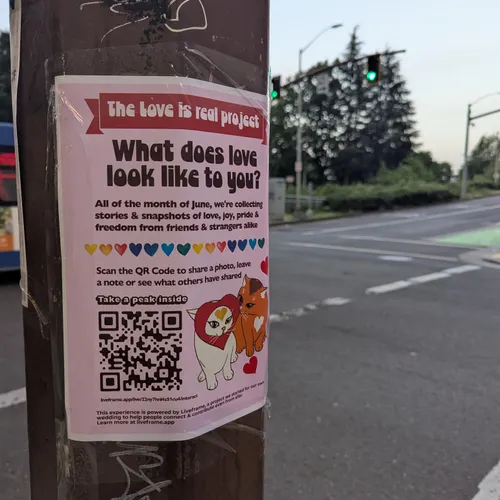 A flyer taped to a utility pole in Portland reads 'The Love is Real Project: What does love look like to you?' It invites people to scan a QR code to share photos or messages throughout June. Cartoon cats decorate the bottom. A crosswalk, bike lane, and traffic light are in the background.